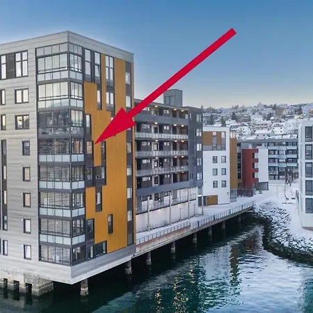 The Arctic Gaze With Free Parking *