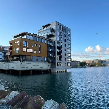 The Arctic Gaze With Free Parking *