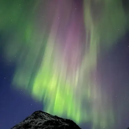 The Arctic Gaze With Free Parking Apartment Tromso